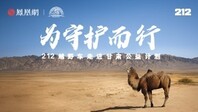 科考中国|携手212越野车，共护野骆驼家园
