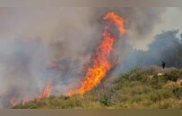 卫星图直击欧洲野火，今年已烧毁近30万公顷土地